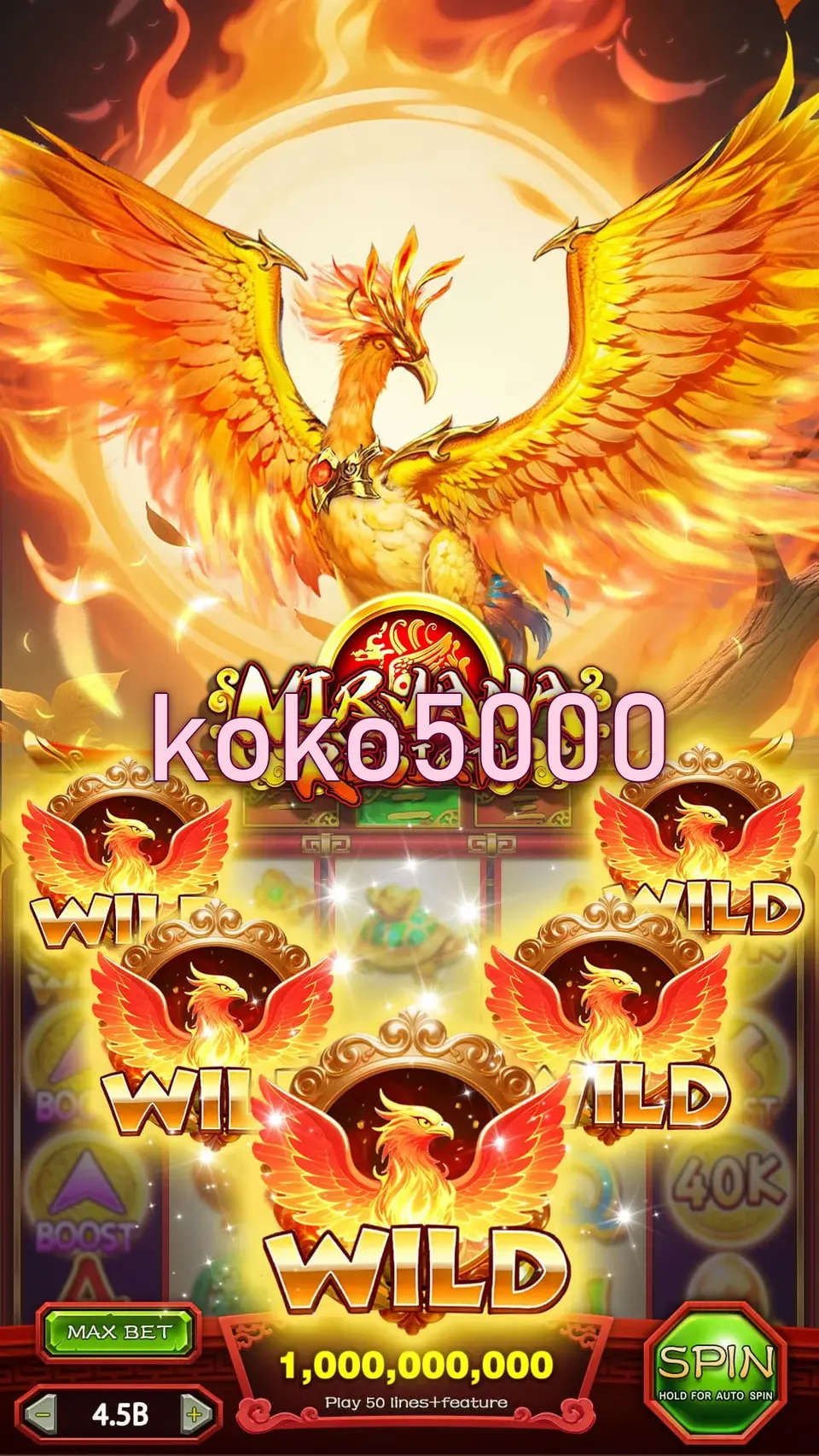 koko5000 Masuk